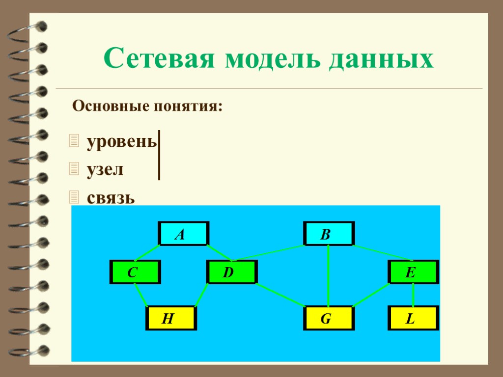 Сетевая модель данных уровень узел связь Основные понятия: